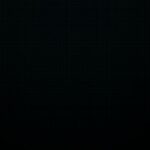 SEO Experts in Kerala